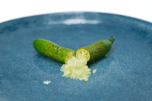 Finger Lime Variety - Tasty Green - FINGER LIMES MELBOURNE